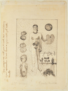 frida-kahlo-abortivo-main